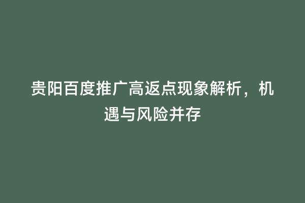 贵阳百度推广高返点现象解析，机遇与风险并存