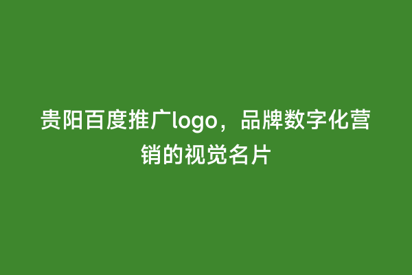 贵阳百度推广logo，品牌数字化营销的视觉名片