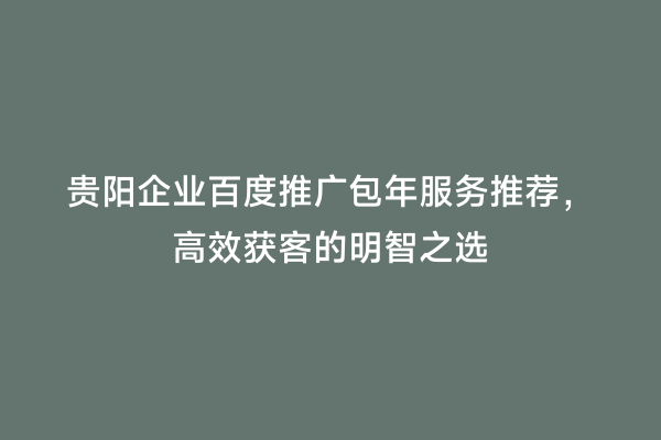 贵阳企业百度推广包年服务推荐，高效获客的明智之选