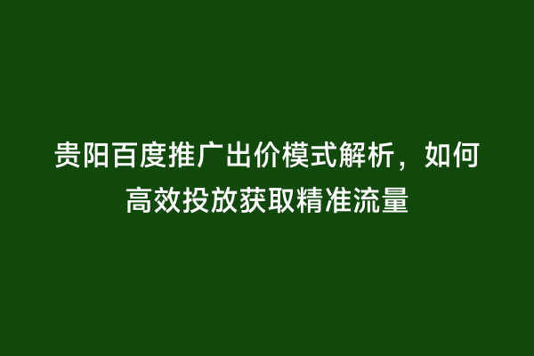 贵阳百度推广出价模式解析，如何高效投放获取精准流量