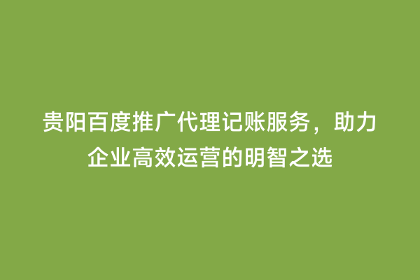 贵阳百度推广代理记账服务，助力企业高效运营的明智之选