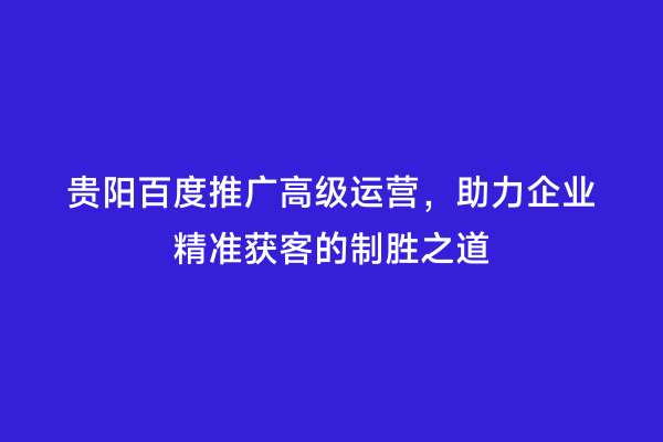 贵阳百度推广高级运营，助力企业精准获客的制胜之道