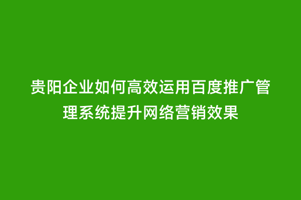 贵阳企业如何高效运用百度推广管理系统提升网络营销效果