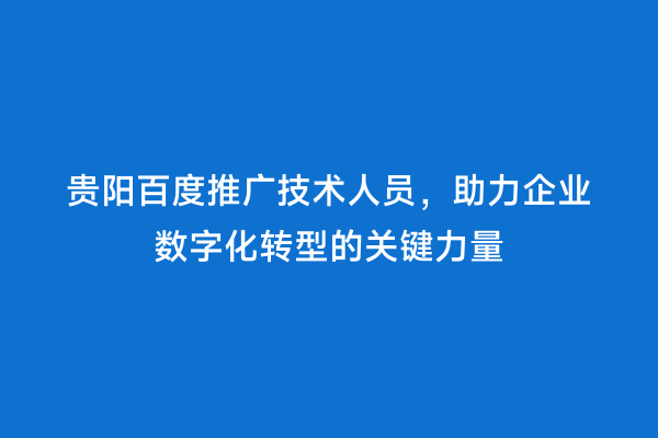 贵阳百度推广技术人员，助力企业数字化转型的关键力量