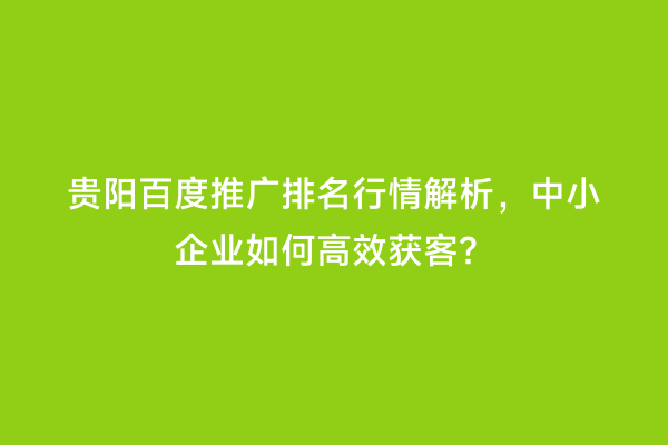 贵阳百度推广排名行情解析，中小企业如何高效获客？