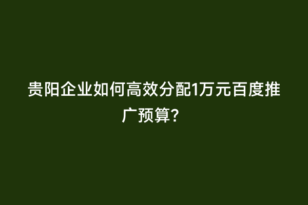 贵阳企业如何高效分配1万元百度推广预算？