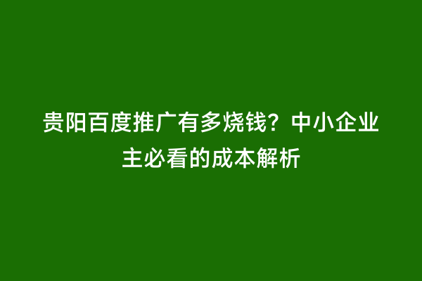 贵阳百度推广有多烧钱？中小企业主必看的成本解析