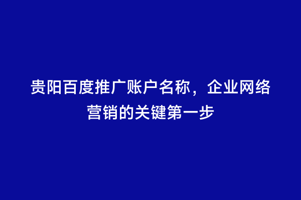 贵阳百度推广账户名称，企业网络营销的关键第一步