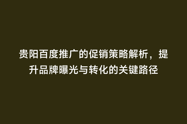 贵阳百度推广的促销策略解析，提升品牌曝光与转化的关键路径