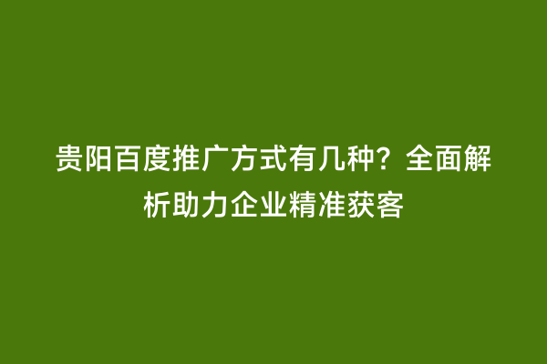 贵阳百度推广方式有几种？全面解析助力企业精准获客